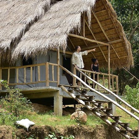 Ella Jungle Resort Εξωτερικό φωτογραφία
