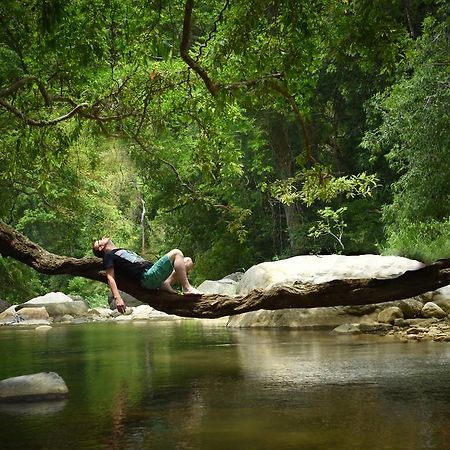 Ella Jungle Resort Εξωτερικό φωτογραφία