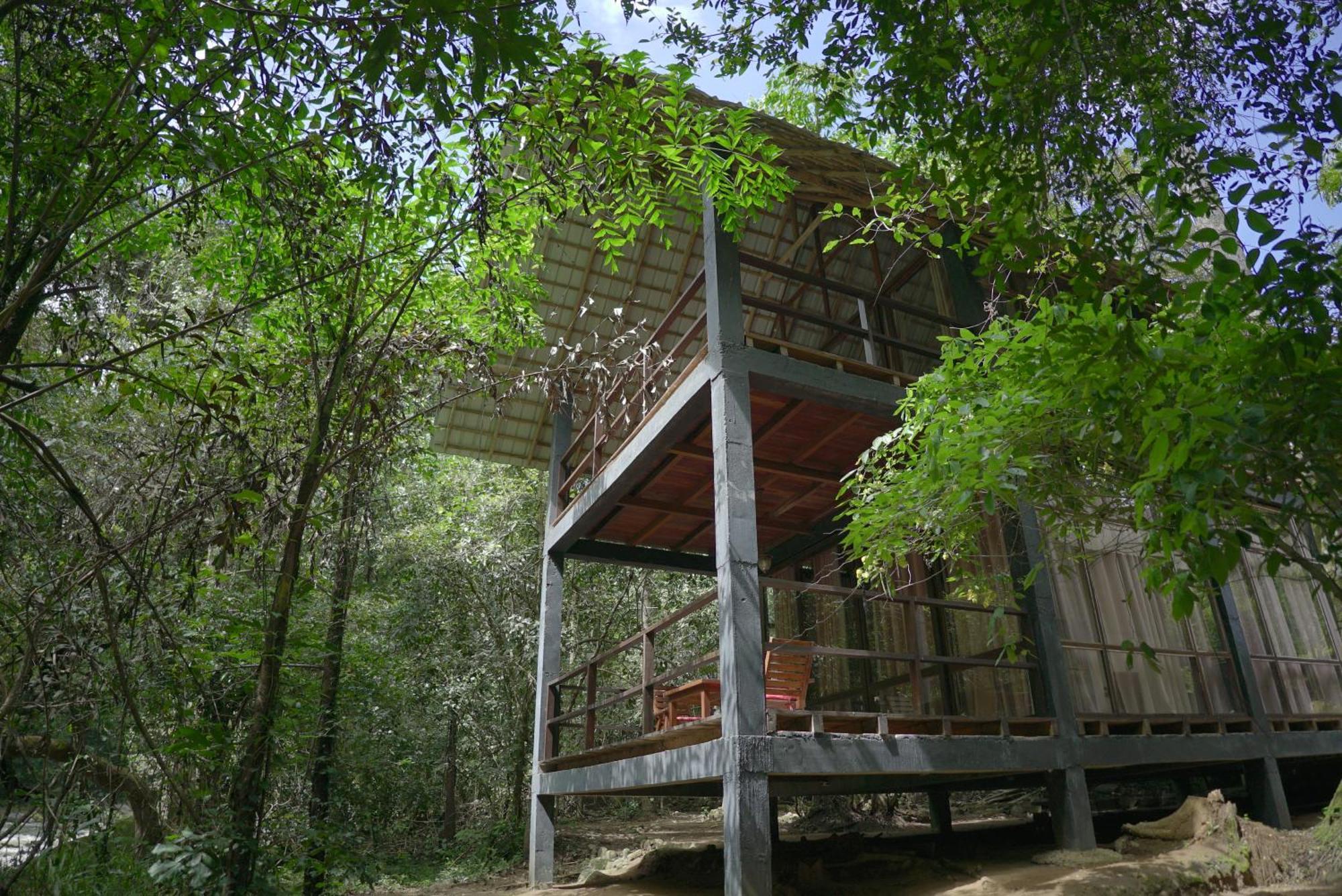 Ella Jungle Resort Εξωτερικό φωτογραφία