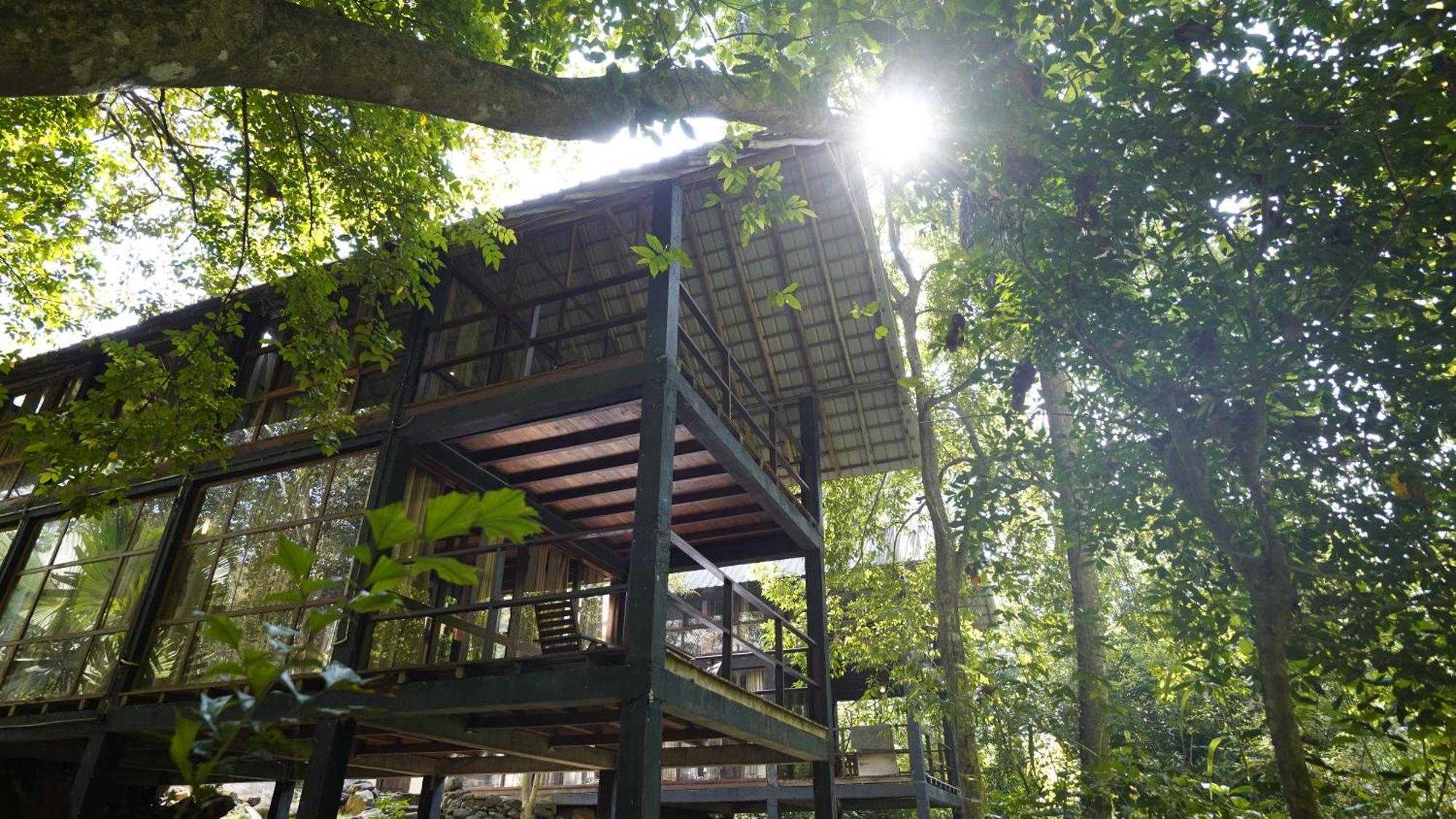 Ella Jungle Resort Εξωτερικό φωτογραφία