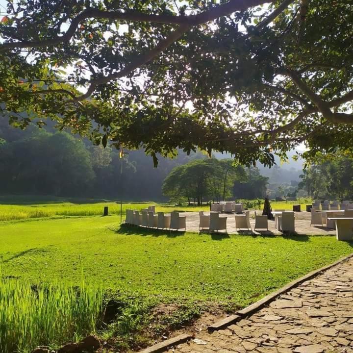 Ella Jungle Resort Εξωτερικό φωτογραφία