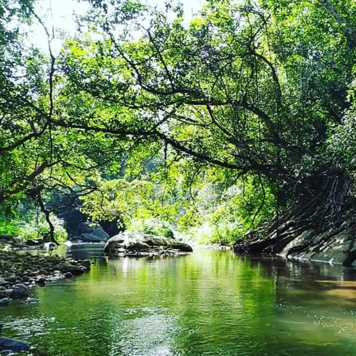 Ella Jungle Resort Εξωτερικό φωτογραφία