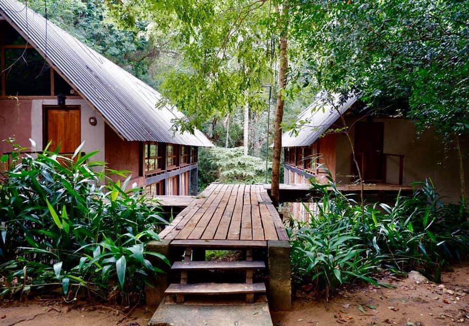 Ella Jungle Resort Δωμάτιο φωτογραφία