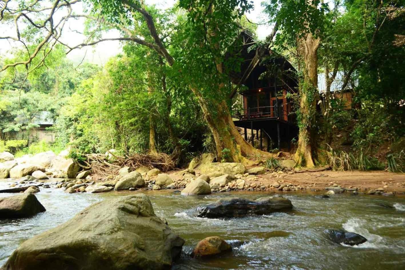 Ella Jungle Resort Δωμάτιο φωτογραφία