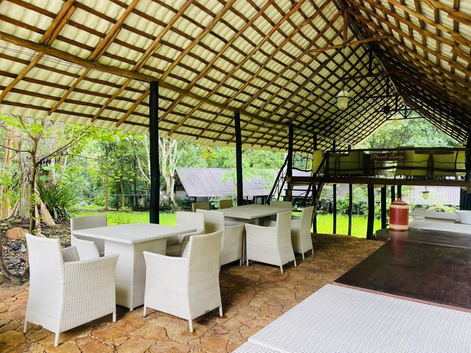 Ella Jungle Resort Εξωτερικό φωτογραφία