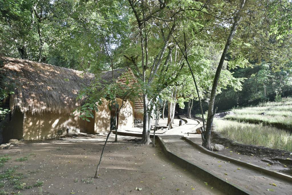 Ella Jungle Resort Εξωτερικό φωτογραφία