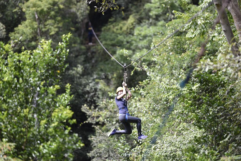 Ella Jungle Resort Εξωτερικό φωτογραφία