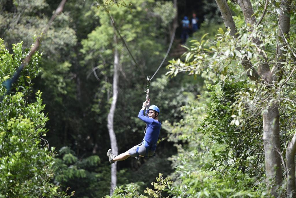 Ella Jungle Resort Εξωτερικό φωτογραφία